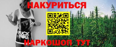 Альфа ПВП Пенза